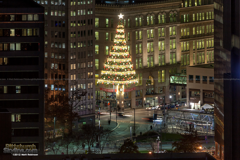 Hornes Christmas Tree from Mount Washington