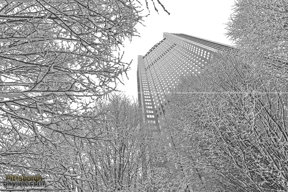 Snow covers tree with BNY Mellon Center