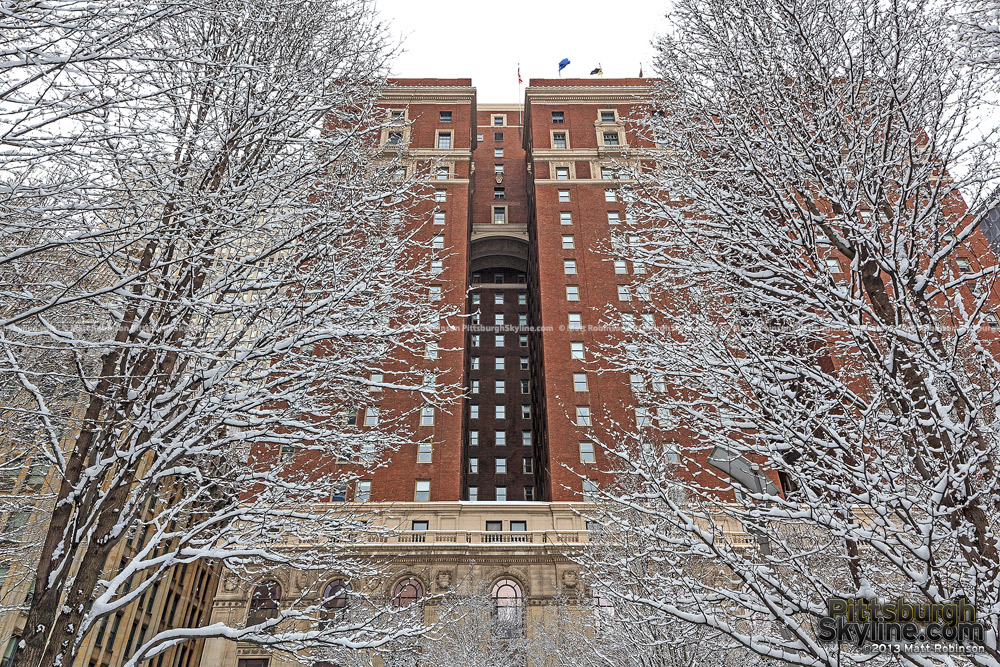 Snowfall on trees with Pittsburgh's Omni William Penn Hotel