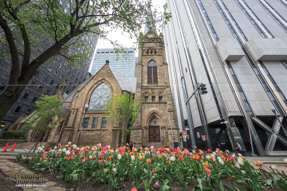 Tulips along Grant Street with the First Lutheran Church