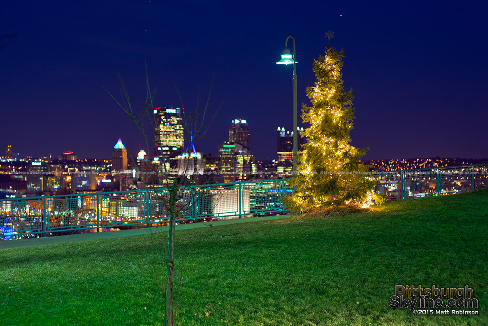 Lone Christmas tree at night with the Pittsburgh Skyline